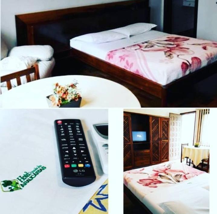 Hotel Pousada Das Araucarias Rio Negrinho Exteriér fotografie