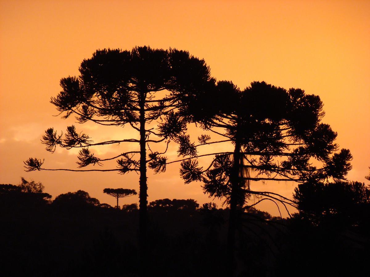 Hotel Pousada Das Araucarias Rio Negrinho Exteriér fotografie